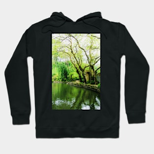 Mossy Ruins Hoodie